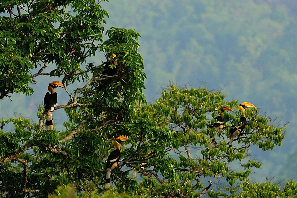 Periyar Woods Bed & Breakfast Thekkady Exterior photo