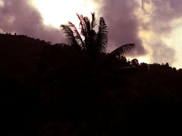 Periyar Woods Bed & Breakfast Thekkady Exterior photo